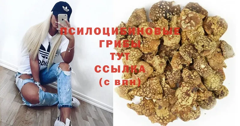 Галлюциногенные грибы Magic Shrooms  Велиж 